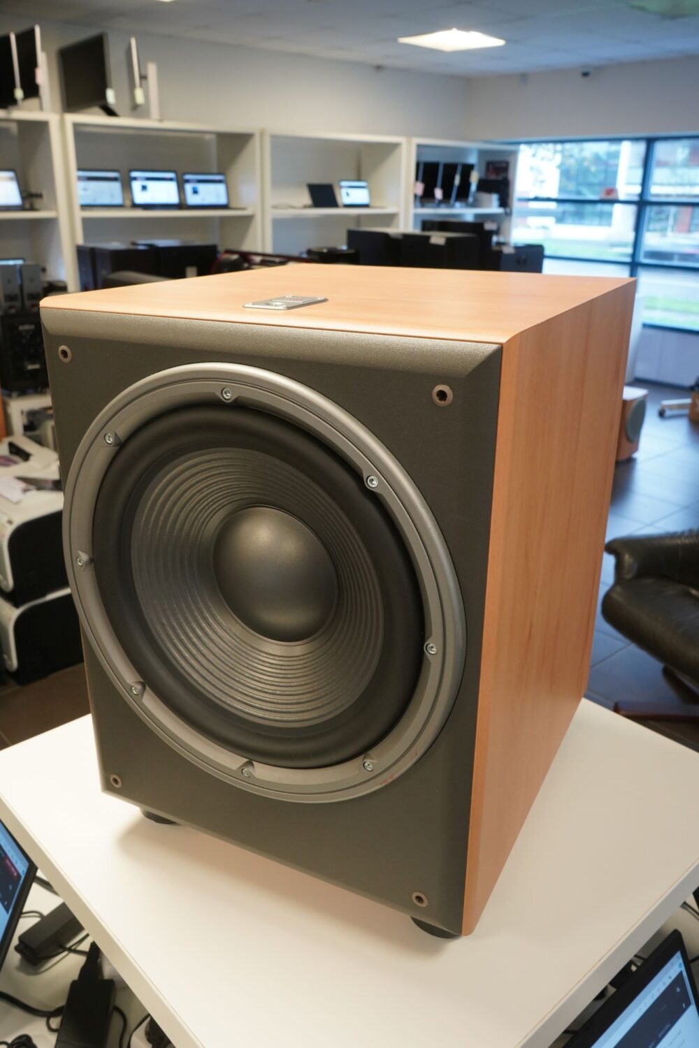 Subwoofer JBL E250P/230