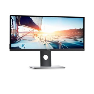 Dell UltraSharp U2917W IPS